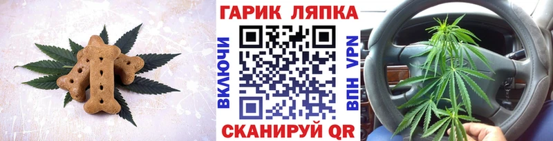 закладки  Высоковск  Cannafood марихуана 