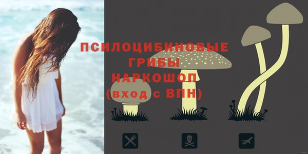 скорость Белокуриха