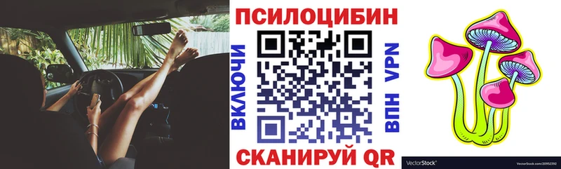 Псилоцибиновые грибы GOLDEN TEACHER площадка наркотические препараты Высоковск магазин продажи наркотиков