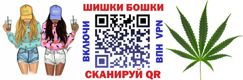 Бошки марихуана AK-47  где купить наркоту  Высоковск 